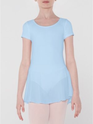 Ruffle Flutter Sleeve Ballet Dance Dress Tutu