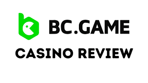 In-Depth Review of the BC App Features, Usability, and User Feedback In-Depth Review of the BC App Features, Usability, and User Feedback